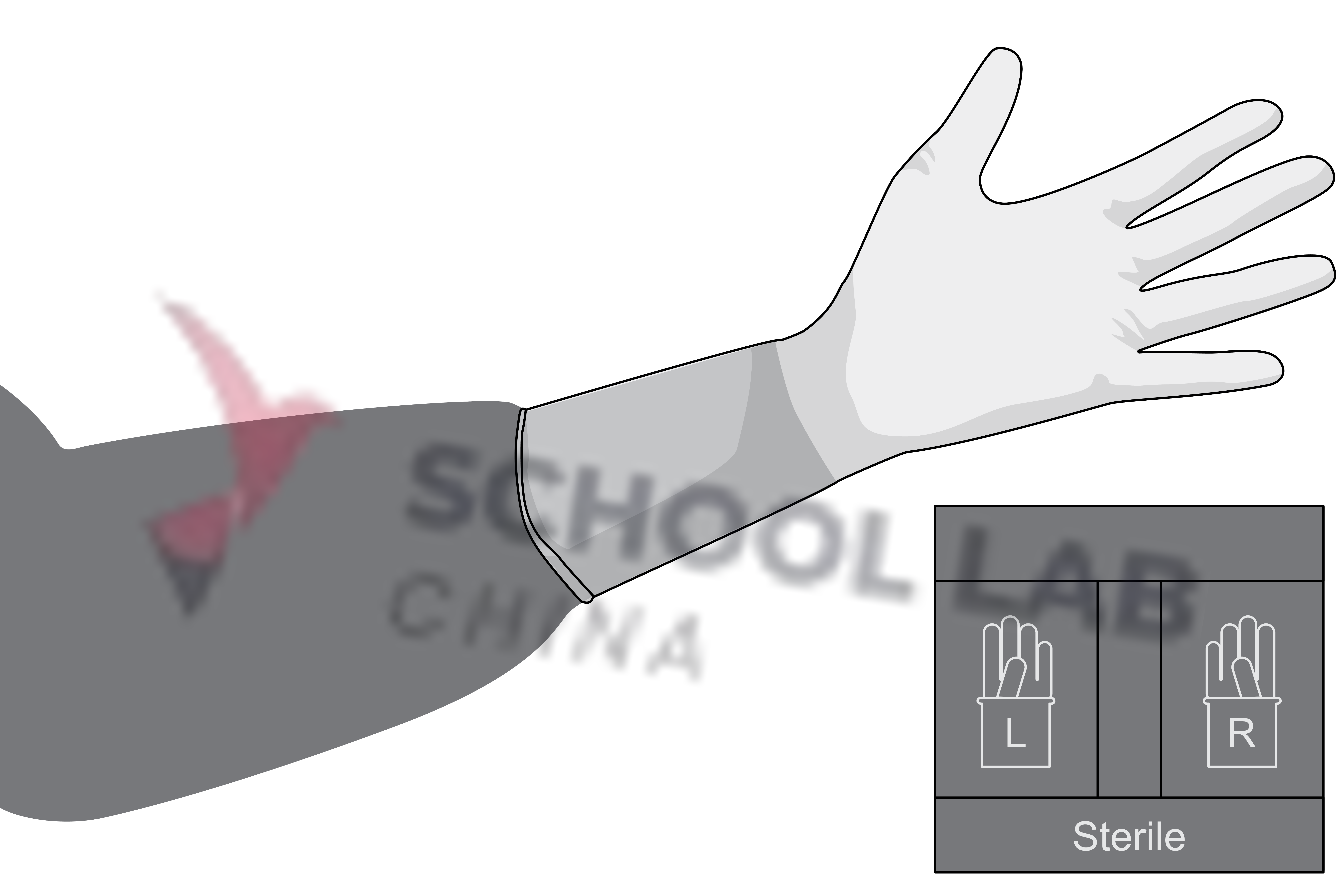 Gloves,surg,pwdfree,8,ster,s.u.,pair